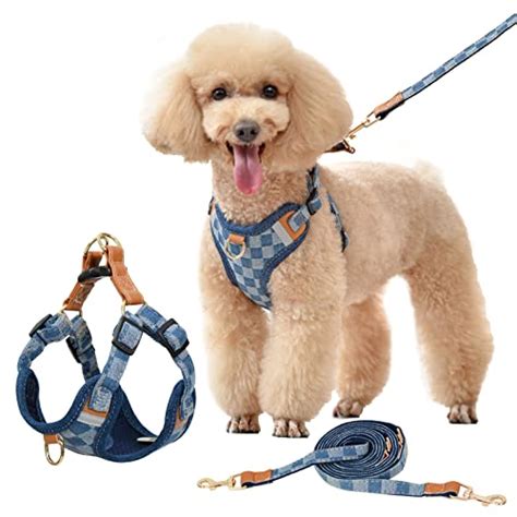 hundegeschirr burberry